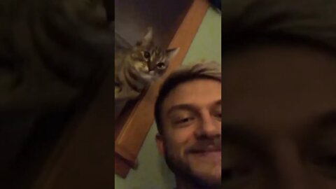 Cats love me 🐱