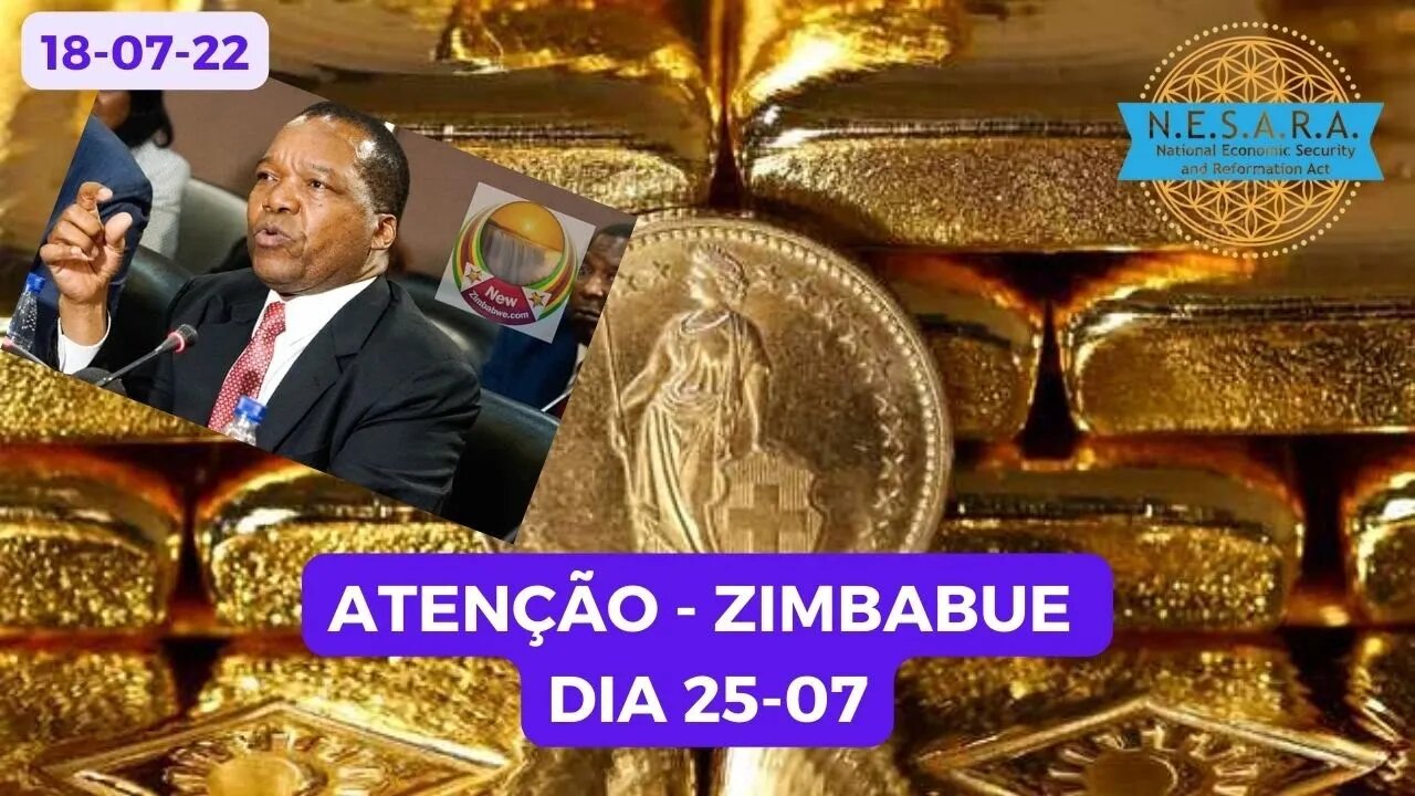 ZIMBABUE DIA 25-07 NOVA MOEDA