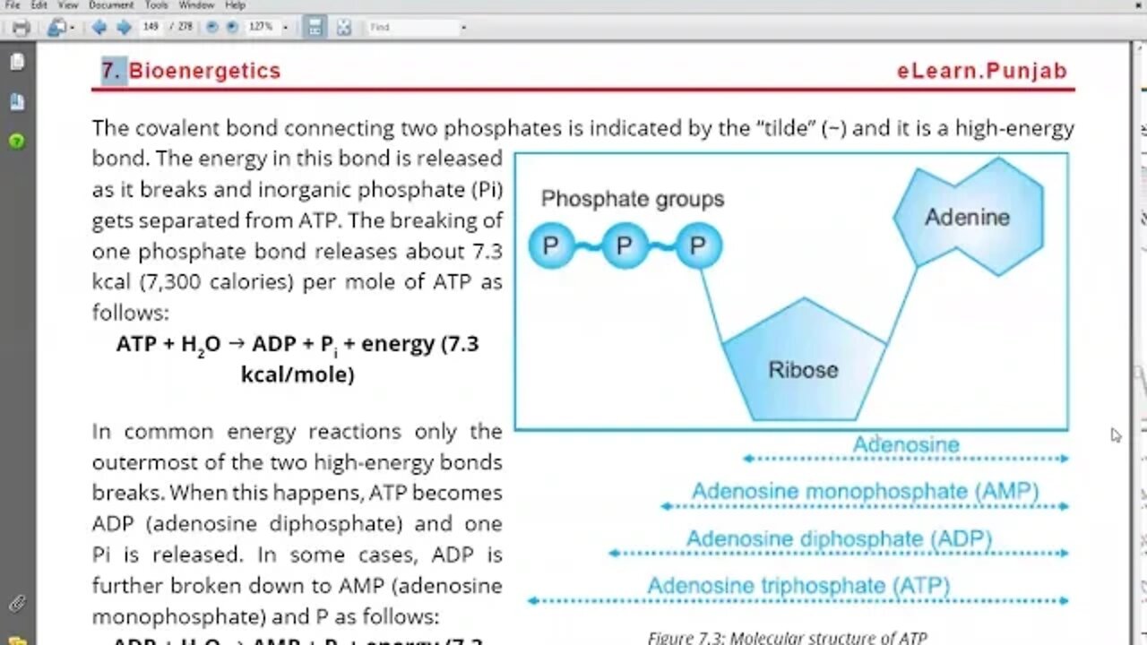 9th Class Bio ATP Cell Energy Currency P1