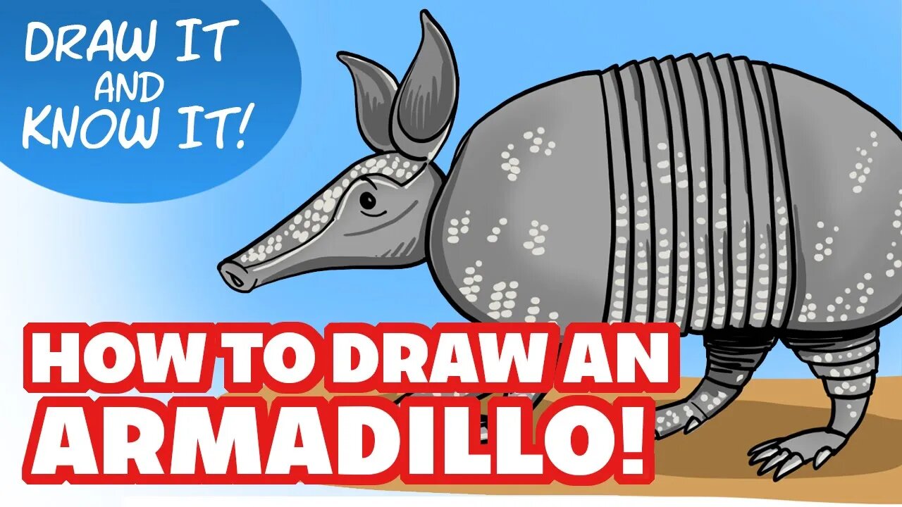 Draw it & Know it (Art Lesson Edition) | How to Draw an Armadillo