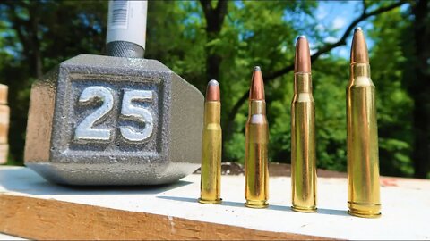 Shooting a Dumbbell - 30-30 vs .308 vs 30-06 vs 300 win mag