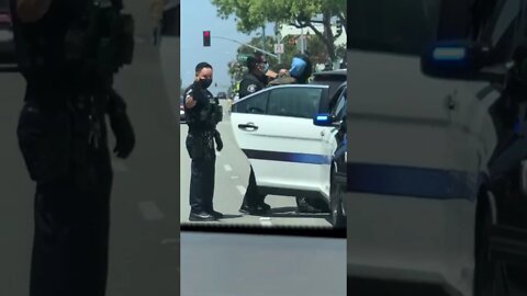 South Pasadena Police ‘Spit-Hood’ Arrest of Assault & Robbery Suspect