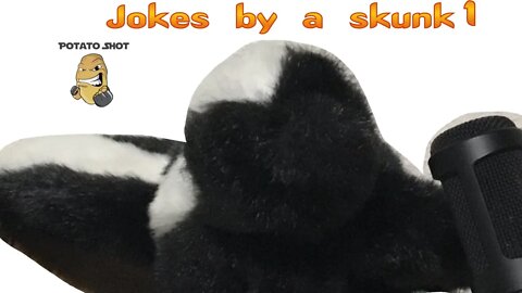 Jokes by a skunk