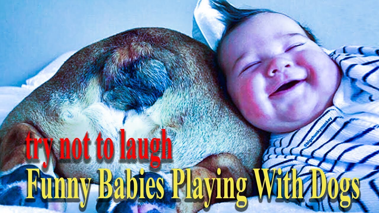 .. try not to laugh .. Funny Babies Playing With Dogs ..