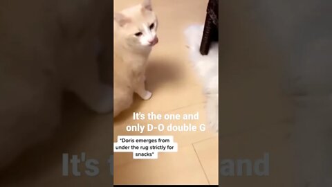 MEME is the one and only D-O double G #shorts