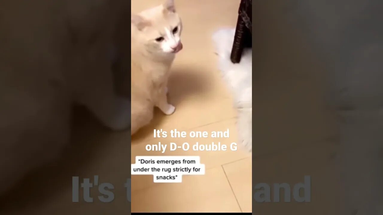 MEME is the one and only D-O double G #shorts