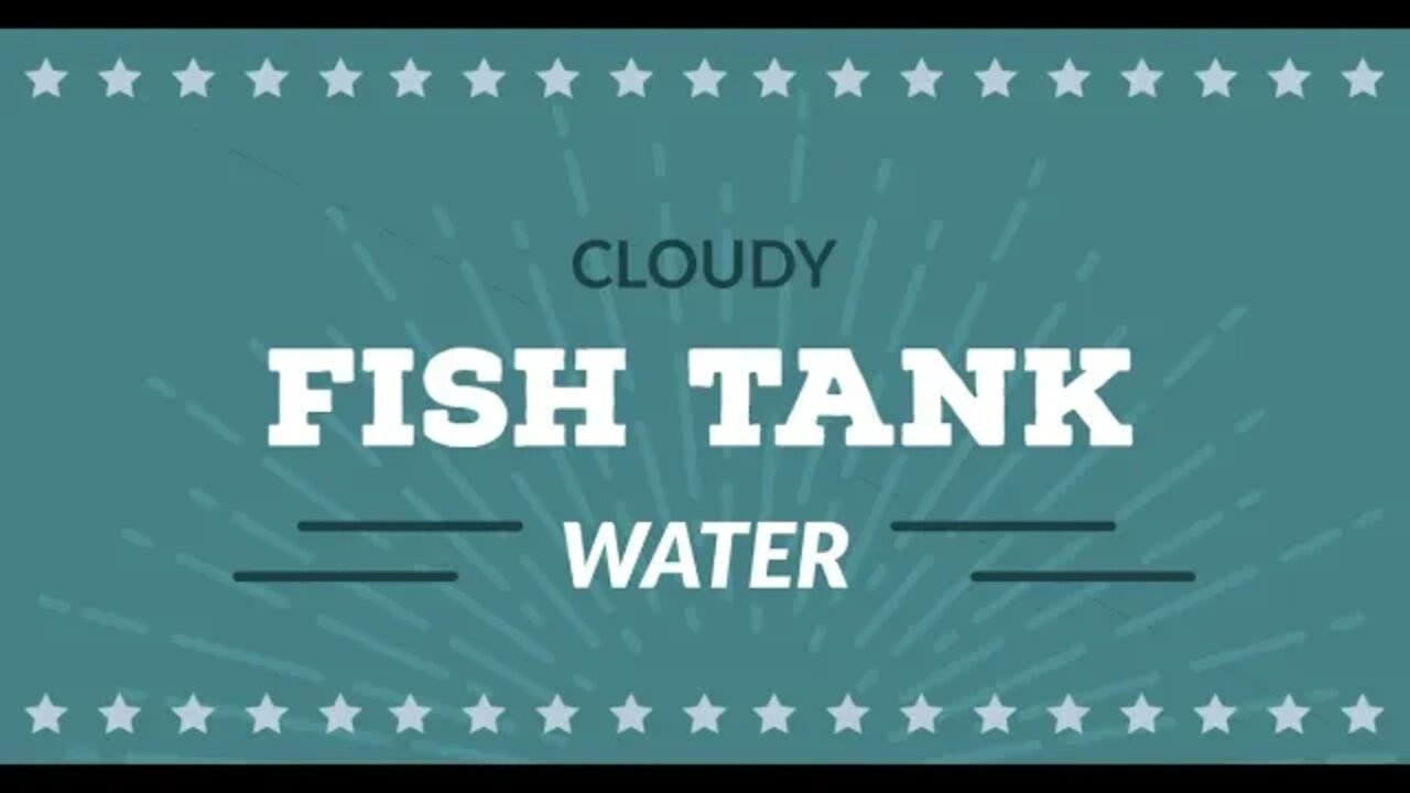 Why Is My Fish Tank Water Cloudy: WATCH BEFORE CLEANING CLOUDY TANK WATER