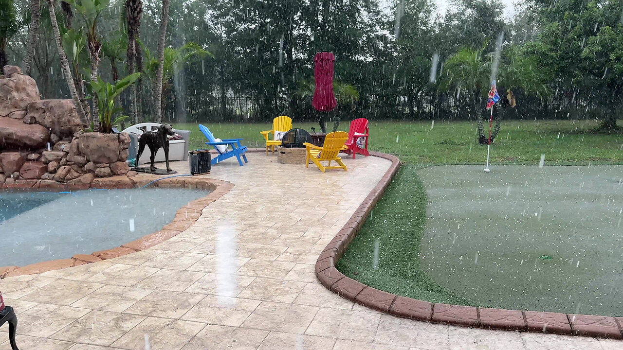 Great Dane Is Not Impressed With Florida Hail Storm Balls On Putting Green