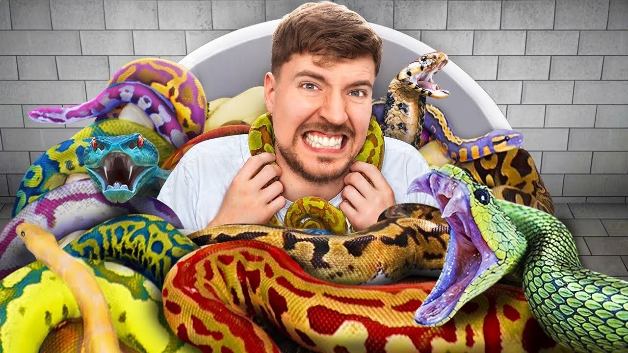 Would You Sit In Snakes For $10,000? Mrbeast video