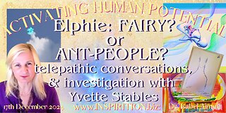 Elphie: FAIRY? or ANT-PEOPLE?