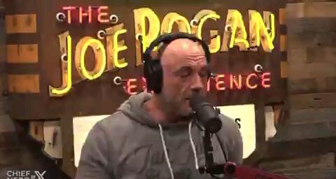 Joe Rogan & 'Yellowstone' Creator Taylor Sheridan on Vaccine Mandates: 'They Were Vilifying People'