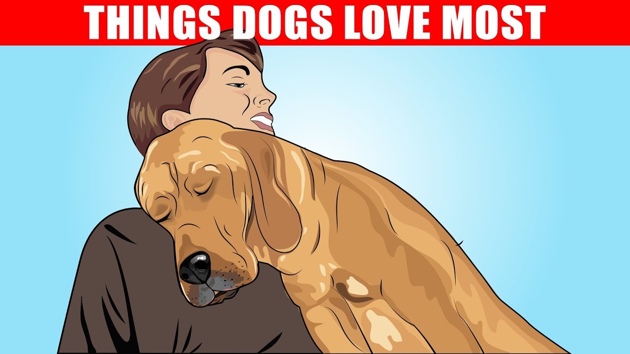 15 Things Dogs Love