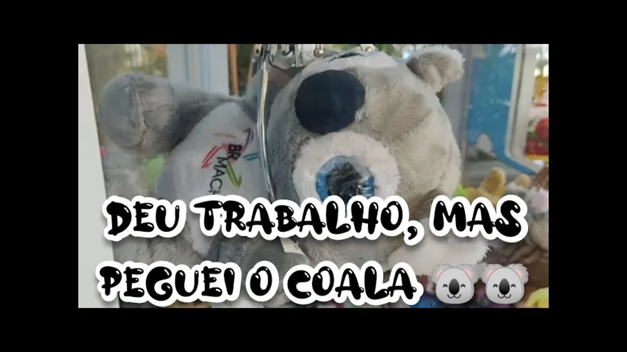 PEGANDO O COALA 🐨🐨 DA COLEÇÃO SAFARI 👏👏👏