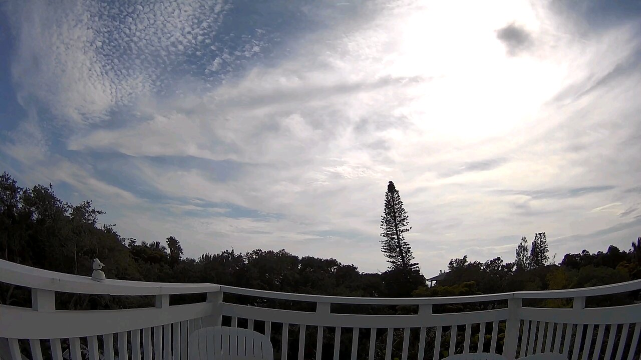 Siesta Key view