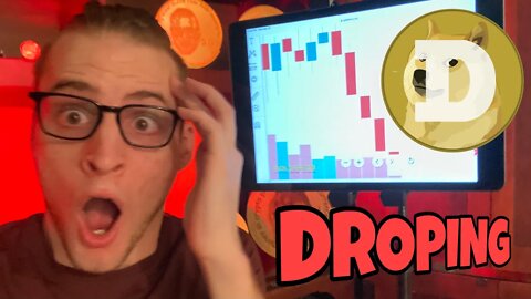 Dogecoin DROPPING ⚠️ Should We SELL FAST? ⚠️ Elon Musk Crypto Crash!