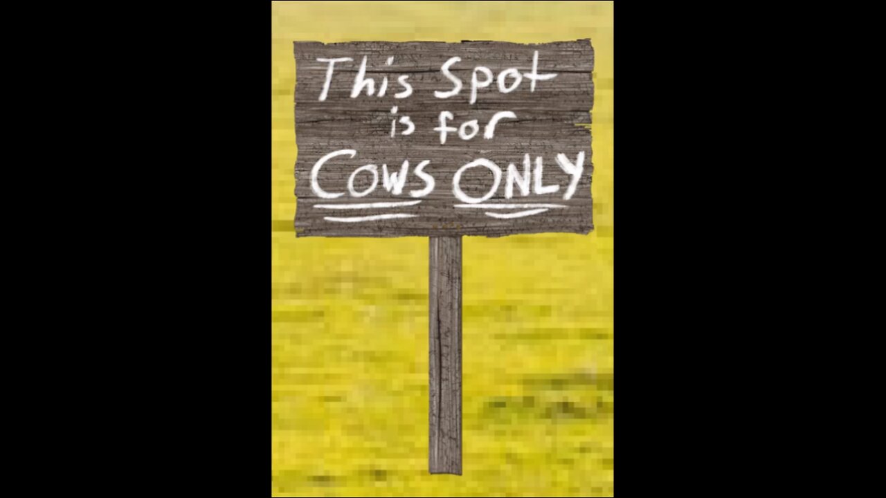 Cows Only!