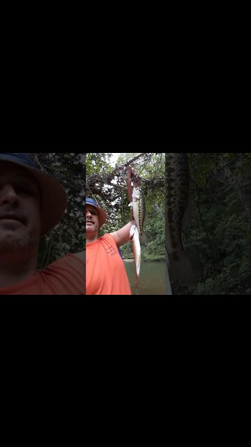 A video for my girls