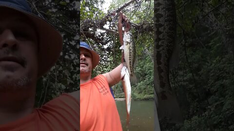 A video for my girls