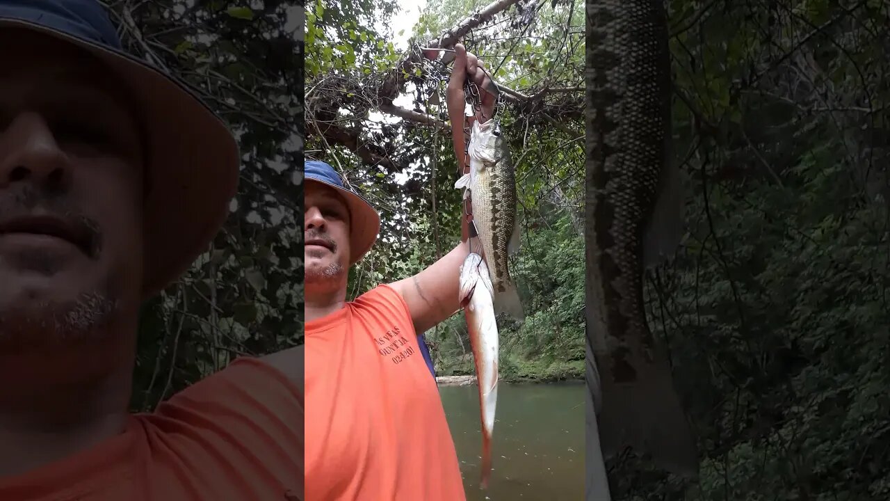 A video for my girls