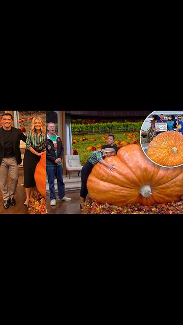 New York’s biggest pumpkin unveiled for Halloween
