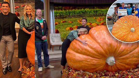 New York’s biggest pumpkin unveiled for Halloween