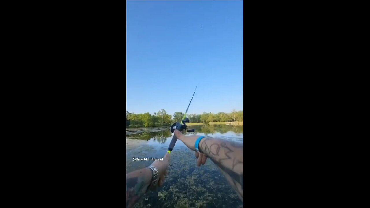 Bass action pt2
