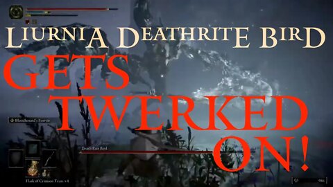 Elden Ring Liurnia Deathrite Bird Boss Gets Beaten and Twerked On (Elden Ring Live)