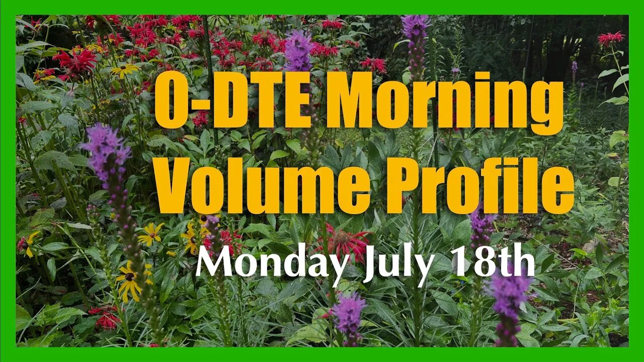 0-DTE Morning Market Volume Profile Analysis - Monday July 18th