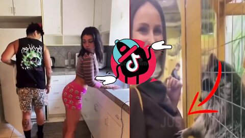 Top 10 funny videos viral on tiktok 2021