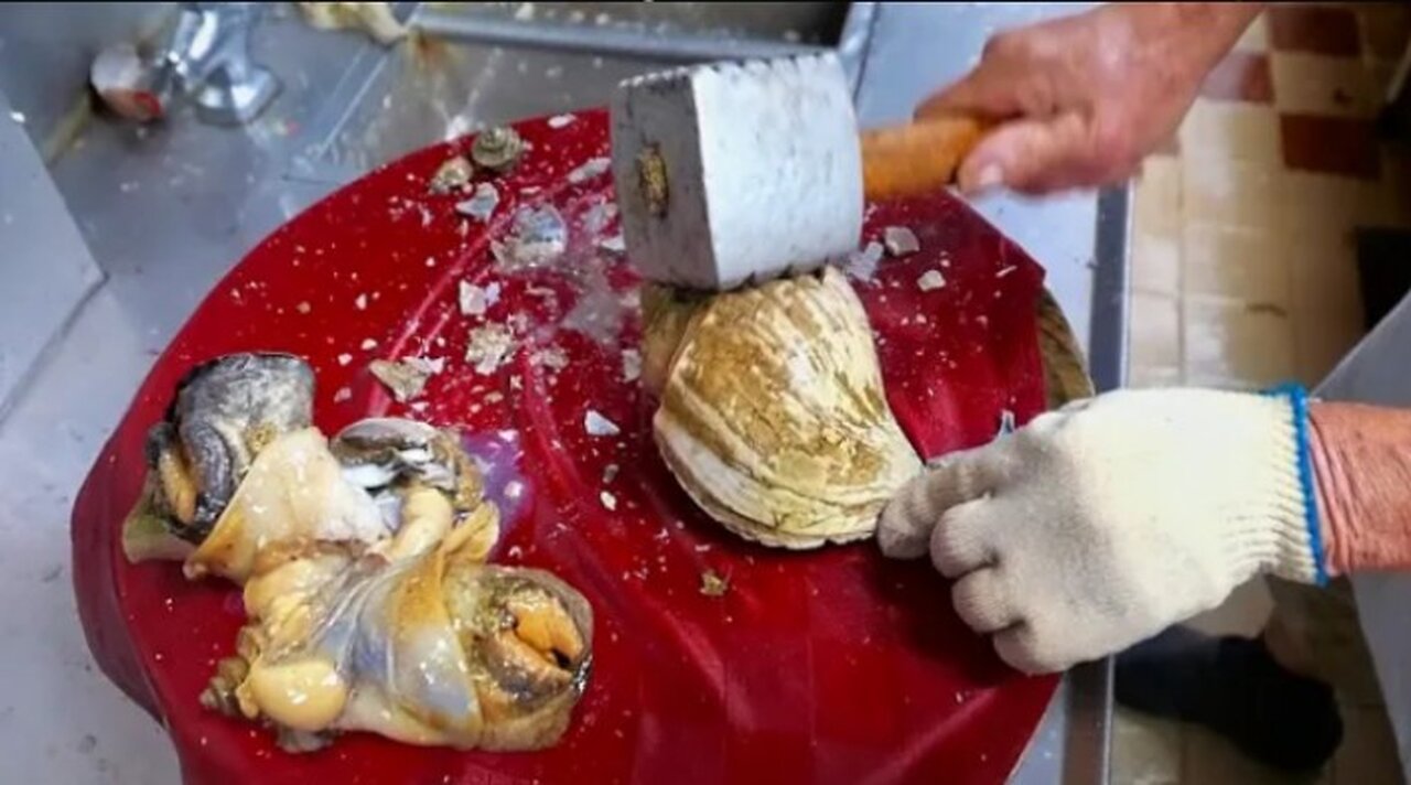 Scallops, conch, and fried tofu shrimp from Brooklyn, New York, American seafood