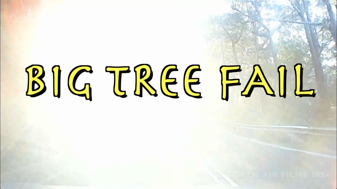 DANGEROUS TREE FAIL AND FALL