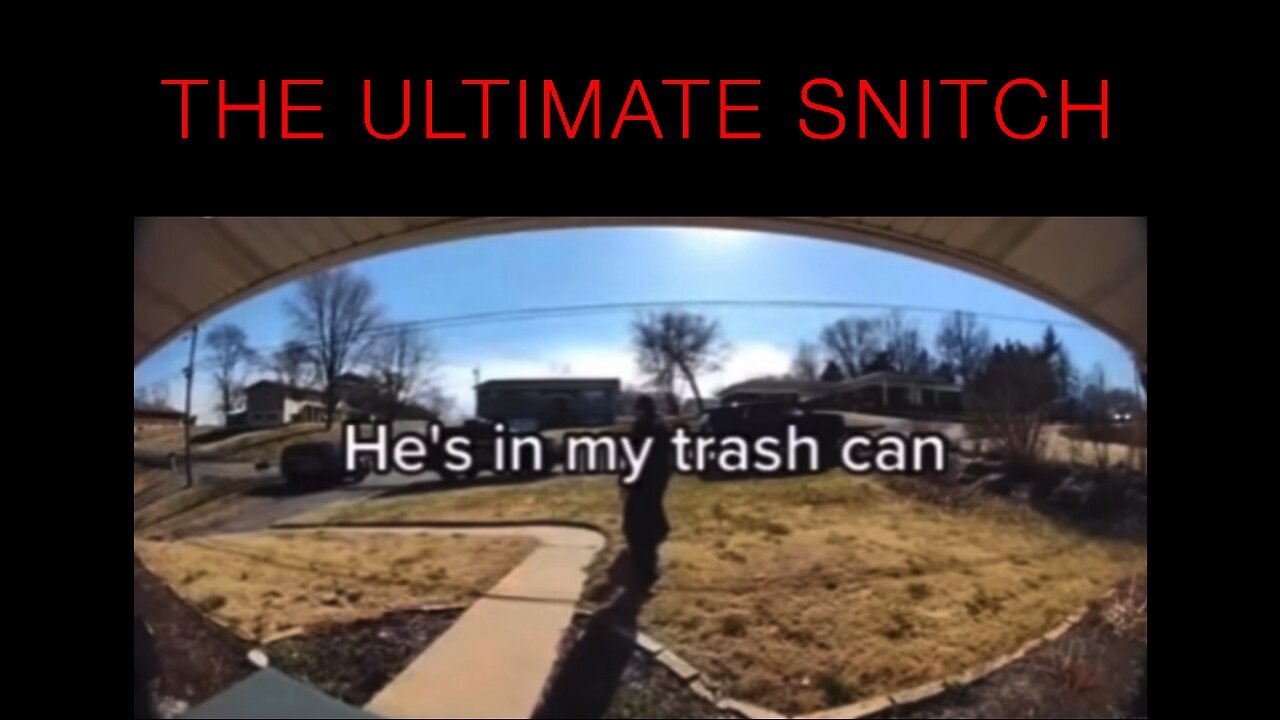 The ultimate snitch