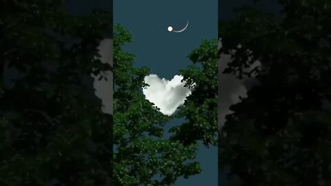 Mind blowing creation | #shorts #subscribe #whatsappstatus #status #love
