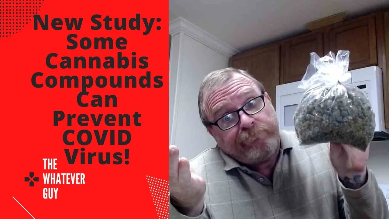 New Study: Some Cannabis Compounds Can Prevent COVID Virus!