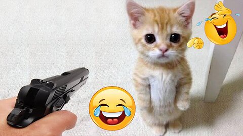 Videos of funny animals 😊Cutest cats and dogs 🐶 2024