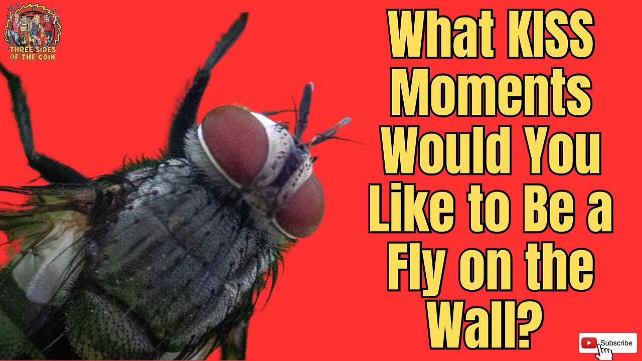 If You Could Be a Fly on the Wall at any KISS Moment, What Would it Be? #kiss #flyonthewall