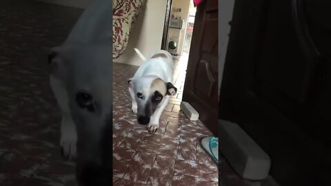 Baby - vídeo original.