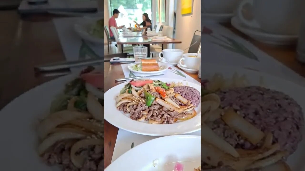과천 갤러리 카페 봄