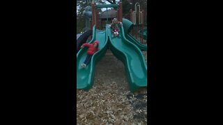 Dassie & Hessy tandem sliding