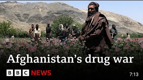 Inside the Taliban's war on drugs