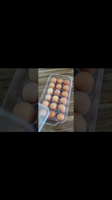 Satisfying Food Restock for Kitchen and Fridge