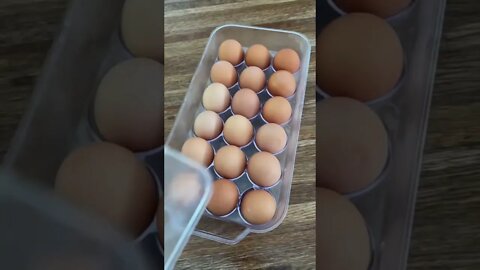 Satisfying Food Restock for Kitchen and Fridge