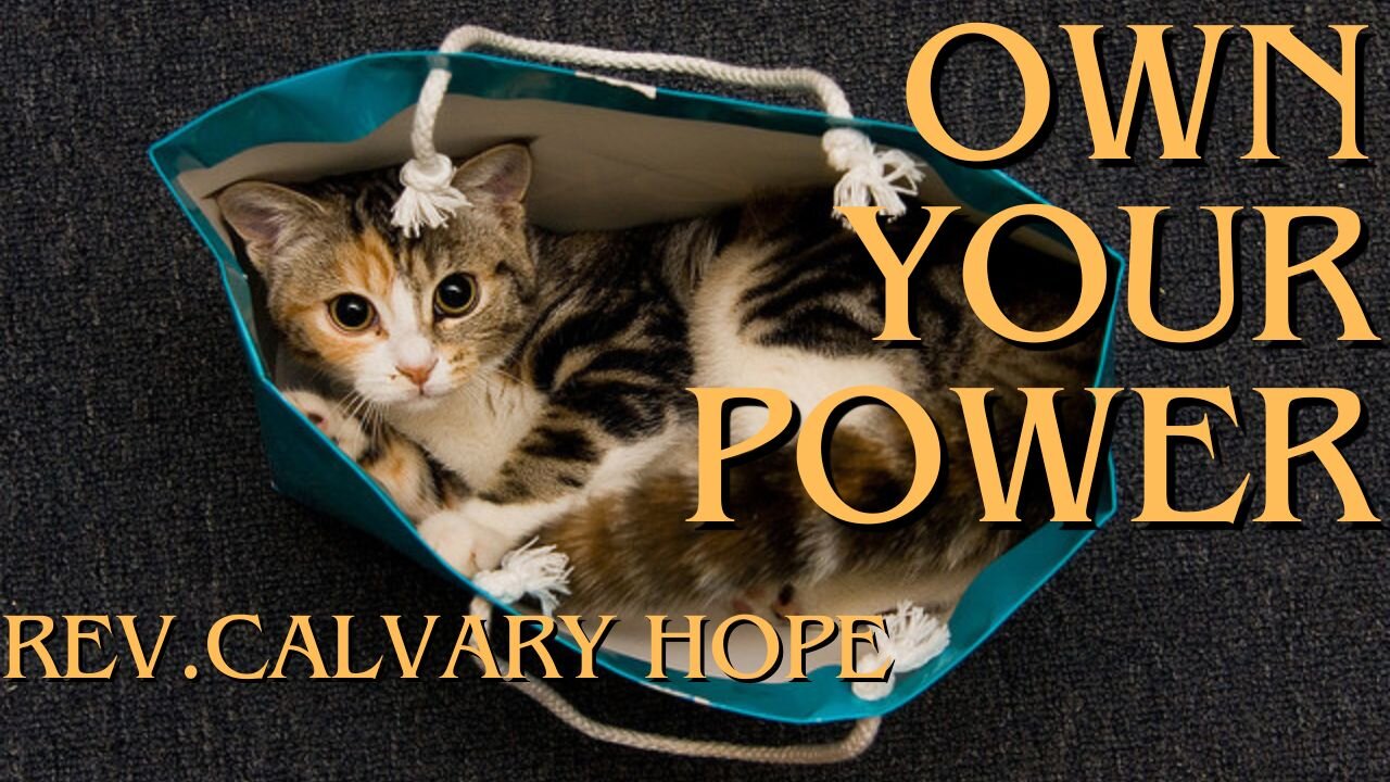 Cat's Outta The Bag! You Have A Higher Calling 😇 Powerful Psychic 🔥🦚💚✝ Calvary Catalyst