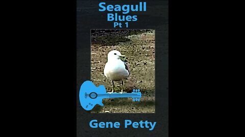 Seagull Blues Pt 1 By Gene Petty #Shorts