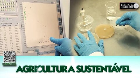 Agricultura Sustentável - com Frederico Olivi