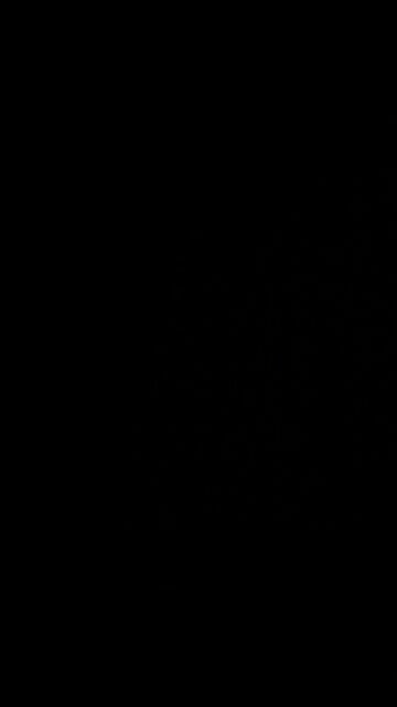 Indigenous people’s day