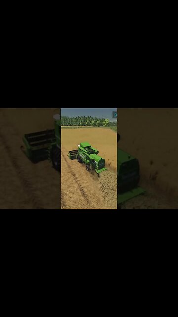 Fields Of Grain Farming Simulator 22 #shorts