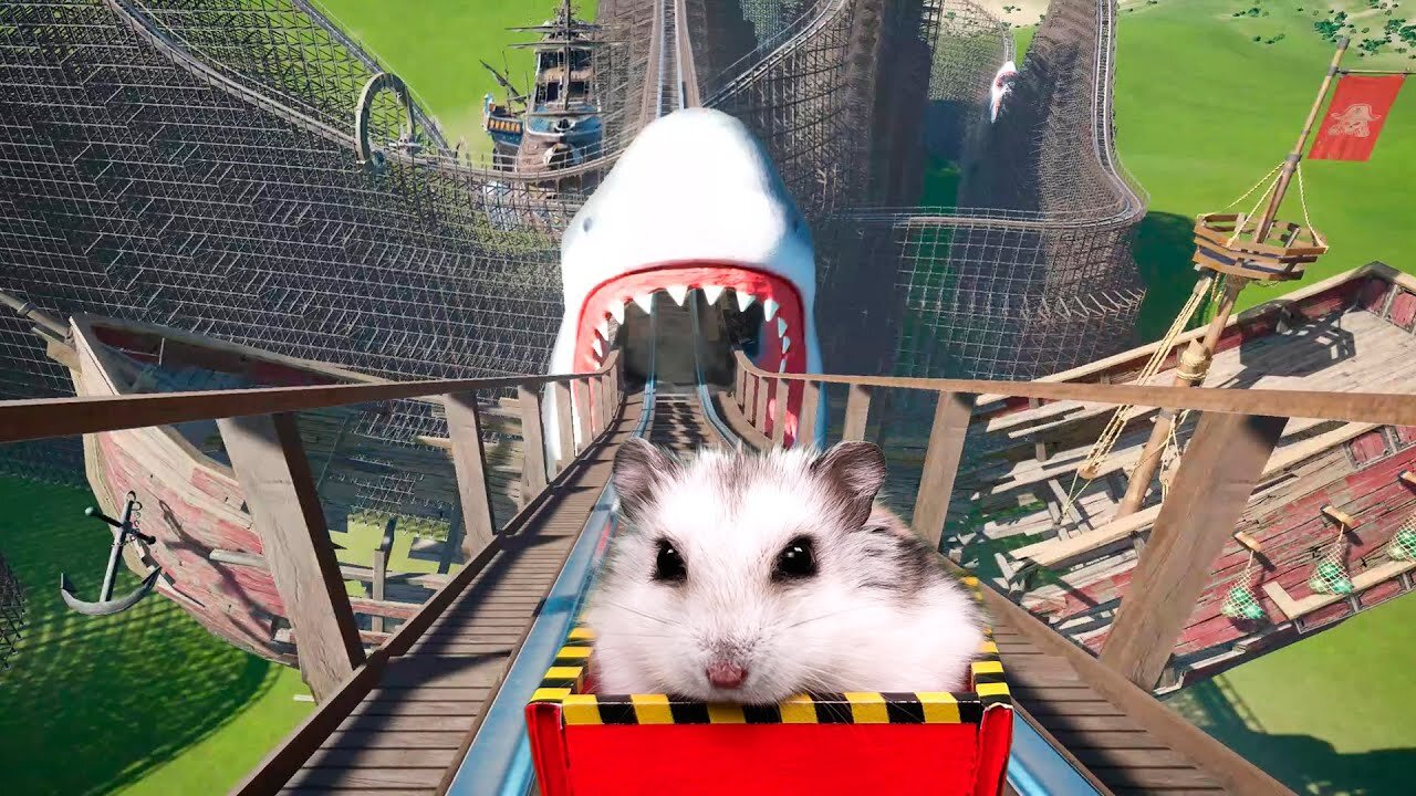 Hamster in Roller Coaster Maelstrom with shark.