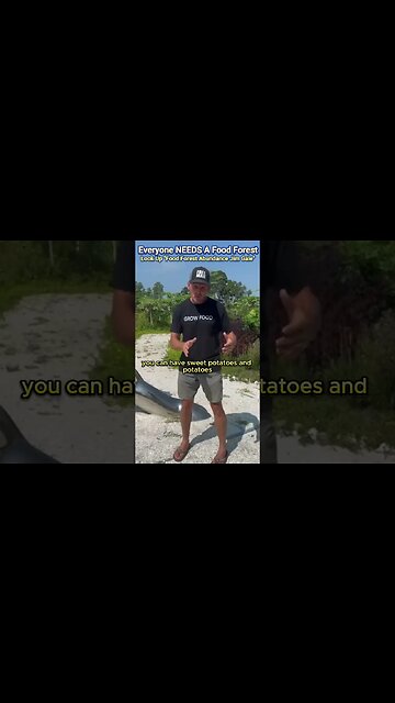 THIS Is Why You NEED A Food Forest - Create Abundance Easily!