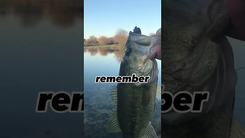 Just a kid with a dream!! #getreel #fishspecies #catchingfish #freshwaterfish #bass #bassfish #fish